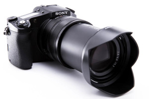 Sony RX10 II - zoomed in